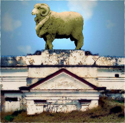 shaun burdon image